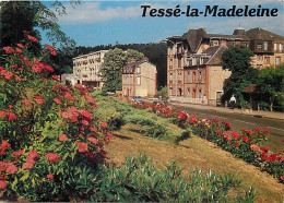 61 - Bagnoles De L'Orne - Tessé La Madeleine - Fleurs - CPM - Voir Scans Recto-Verso - Bagnoles De L'Orne