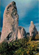 56 - Carnac - Alignements Mégalithiques De Kermario - Menhirs - Flamme Postale - CPM - Voir Scans Recto-Verso - Carnac