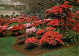 Belgique - Gand - Gent - Floralies Gantoises - Fleurs - Carte Neuve - CPM - Voir Scans Recto-Verso - Gent