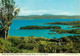 Irlande - Cork - Glengarriff - Bantry - Bantry Bay Showing Garnish Island - Ireland - CPM - Voir Scans Recto-Verso - Cork