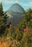 07 - Le Mont Gerbier De Joncs - Source De La Loire - CPM - Voir Scans Recto-Verso - Otros & Sin Clasificación