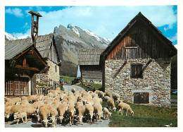 Animaux - Moutons - Soleil Et Montagne - CPM - Voir Scans Recto-Verso - Andere & Zonder Classificatie