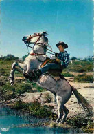 Animaux - Chevaux - Camargue - Gardians - Carte Neuve - Voir Scans Recto Verso  - Cavalli