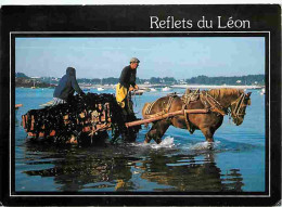 Animaux - Chevaux - Bretagne  - Reflets Du Léon - Le Retour Du Pigoullier - Flamme Postale - Voir Scans Recto Verso  - Horses