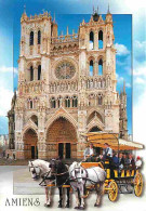 Animaux - Chevaux - Amiens - Promenade En Calèche - La Cathédrale Notre-Dame - CPM - Voir Scans Recto-Verso - Horses