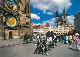 Animaux - Chevaux - CPM - Voir Scans Recto-Verso - Horses