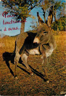 Animaux - Anes - Carte Humoristique - Flamme Postale - CPM - Voir Scans Recto-Verso - Donkeys