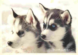 Animaux - Chiens - CPM - Voir Scans Recto-Verso - Hunde