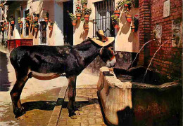 Animaux - Anes - Espagne - Espana Tipica - Folklore - CPM - Voir Scans Recto-Verso - Donkeys