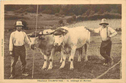 58 - Nièvre - Travaux Champetres - Attelage De Boeufs En Morvan - Animée - Grosse Animation - Paysans - CPA - Oblitérati - Andere & Zonder Classificatie