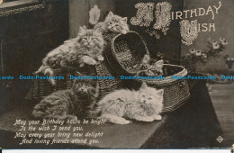 R106155 Greeting Postcard. A Birthday Wish. Kittens. Valentine. No 4282. 1916 - Mundo