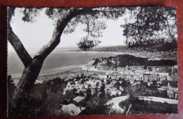 Carte Photo Nice : Vue Générale Prise Du Mont Boron - Cartas Panorámicas