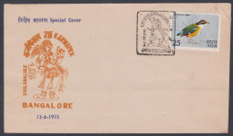 Inde India 1975 Special Cover Karnapex, Shilabalike, Sculpture, Art, Horse, Sword, Statue, Arts Woman Pictorial Postmark - Briefe U. Dokumente