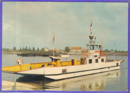 Carte Postale 67. Rhinau  Le Bac Très Beau Plan - Sonstige & Ohne Zuordnung