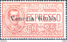 Venezia Giulia. Espresso 1919. Linguellato. - Andere & Zonder Classificatie