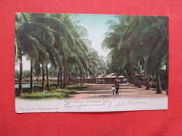 Palm Avenue Christobal Colon. Canal Zone Over Print Stamp     Ref 6413 - Panama