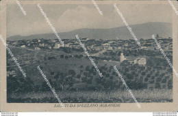 Bg368 Cartolina Saluti Da Spezzano Albanese Provincia Di Cosenza - Cosenza