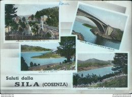 Ah721 Cartolina Saluti Dalla Sila Cosenza - Cosenza