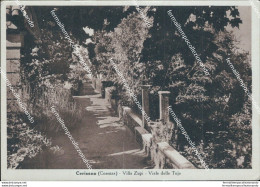 Bi160 Cartolina Cerisano Villa Zupi Viale Delle Tuje Provincia Di Cosenza - Cosenza