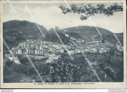 Bi476 Cartolina S.donato Minea Panorama Provincia Di Cosenza - Cosenza