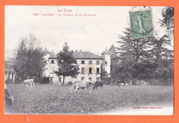 17404 / ⭐ ♥️ ALBINE 81-Tarn Chateau LA RIBEAUTE Vaches 1919 Jeanne BONNET Villa Lascano Rue Leroy Biarritz LABOUCHE 700 - Autres & Non Classés