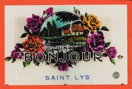 17252 / ⭐ ♥️ Peu Commun SAINT-LYS St 31-Haute Garonne Un BONJOUR De ... Photo-Bromure ROB - Sonstige & Ohne Zuordnung