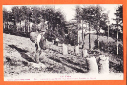 17388 / ⭐ ♥️  ( Etat Parfait ) LACAUNE-Les-BAINS 81-Tarn Récolte Des POMMES De TERRE 1905s LABOUCHE 850 - Otros & Sin Clasificación