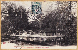 17073 / ⭐ TOULOUSE  Le Jardin Des PLANTES 1904 De Lisbeth REY à Cécile BOUSQUET Plateau Saint-Jean Castres-LABOUCHE 50 - Toulouse