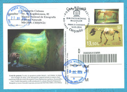 Moldova , 2024 , From The Museums’ Patrimony, Cave Bear , Paleontology , Postmark First Day - Moldavie