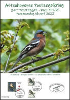 DUOSTAMP/MYSTAMP° - Cercle Philat D'Ottoncourt / Attenhovense Postzegelkring - Pinson Des Arbres / Botvink - A4 - Songbirds & Tree Dwellers