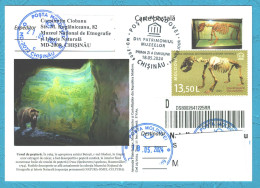 Moldova , 2024 , From The Museums’ Patrimony, Cave Bear , Paleontology , Postmark First Day - Moldavië
