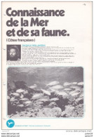2 Albums D'image Poulain , Connaissance De La Mer Et De Sa Faune & Batraciens Et Des Reptiles - Autres & Non Classés
