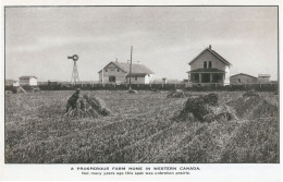 A Prosperous Farm In Western Canada Old Farming Postcard - Fermes