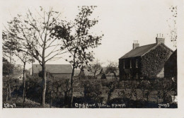 Cannon Hill Farm Yorkshire 2847 RARE Antique Real Photo Postcard - Bauernhöfe