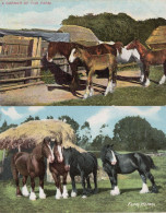 A Corner Of The Farm& Horses E. S. No 1457 2x Old Postcard - Boerderijen