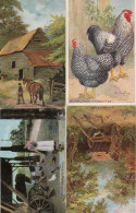 A Rest After Work 4x Antique Farming Bird Postcard S - Farms
