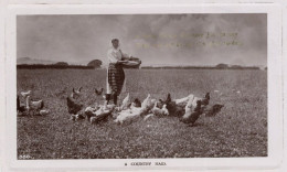 A Country Maid Lady Farmer Old Farming Bird Seeds Real Photo Postcard - Fermes
