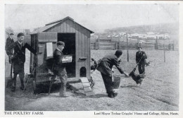 Poultry Farm Alton Hants Cripples Home Antique Farming Postcard - Farms