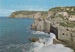 CARTOLINA  C16 S.ANGELO D'ISCHIA,NAPOLI,CAMPANIA-SPIAGGIA,MARE,SOLE,VACANZA,ESTATE,BELLA ITALIA,VIAGGIATA 1980 - Napoli (Naples)