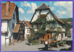 Carte Postale 67. Obernai  Maison Du Vigneron  Attelage  Très Beau Plan - Obernai