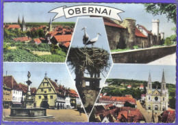 Carte Postale 67. Obernai Nid De Cigogne  Très Beau Plan - Obernai