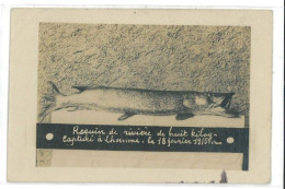 Carte Photo - Requin De Rivière De Huit Kilos - L'Homme (72) - Autres & Non Classés