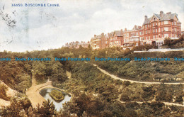 R104937 36950. Boscombe Chine. Celesque Series. Photochrom. 1911 - World