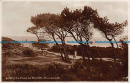 R104975 Among The Pines On The Cliffs. Bournemouth. RP. 1929 - Mundo