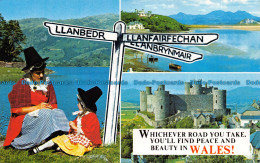 R106240 Llanbedr. Llanfairfechan And Llanbrynmair Sign. Bamforth - Welt