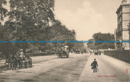 R105515 Hyde Park. London. Stengel - Andere & Zonder Classificatie