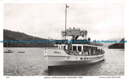R105568 Swan Approaching Bowness Pier. Chadwick. RP. 1955 - Mondo