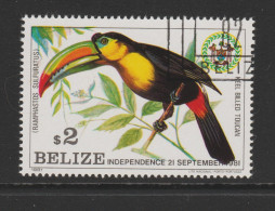 BELIZE 1981 Toucan YT BZ565 Obl. - Belize (1973-...)