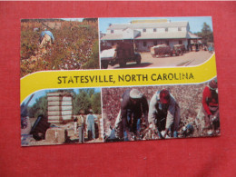 Black Americana Picking Cotton Statesville North Carolina     Ref 6413 - Negro Americana