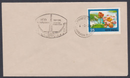 Inde India 1971 Special Cover Sun-Dial, Jaisingh Observatory, Monument, Science, Pictorial Postmark - Brieven En Documenten